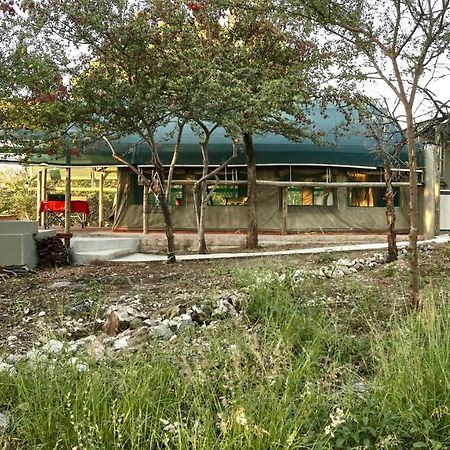 Zuricamp - Tent Madini Τσουμέμπ Εξωτερικό φωτογραφία